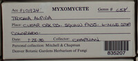 Image Associated With the Occurence